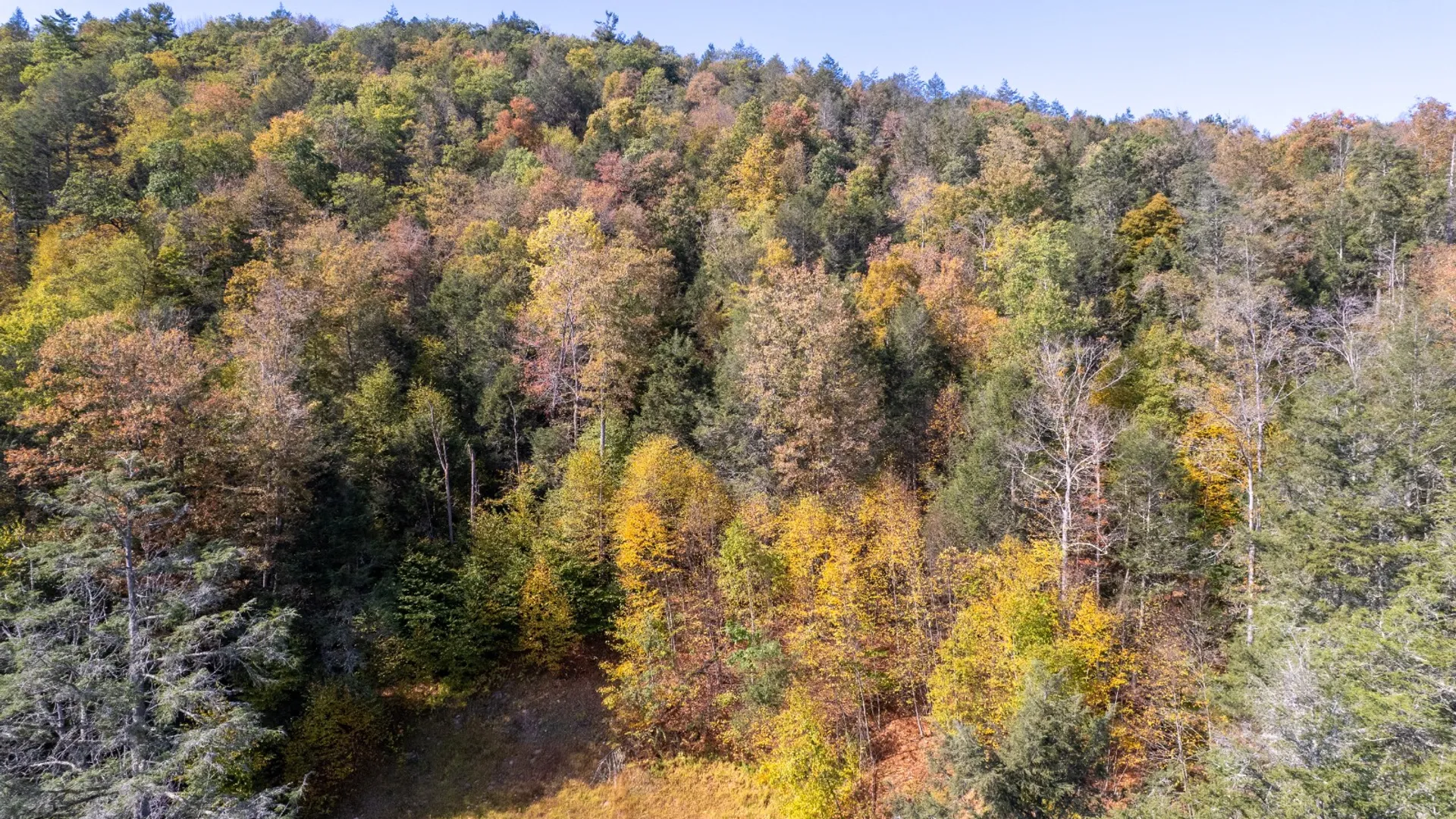 Property at 0 Wheeler Hollow, Hancock, NY 13783 10