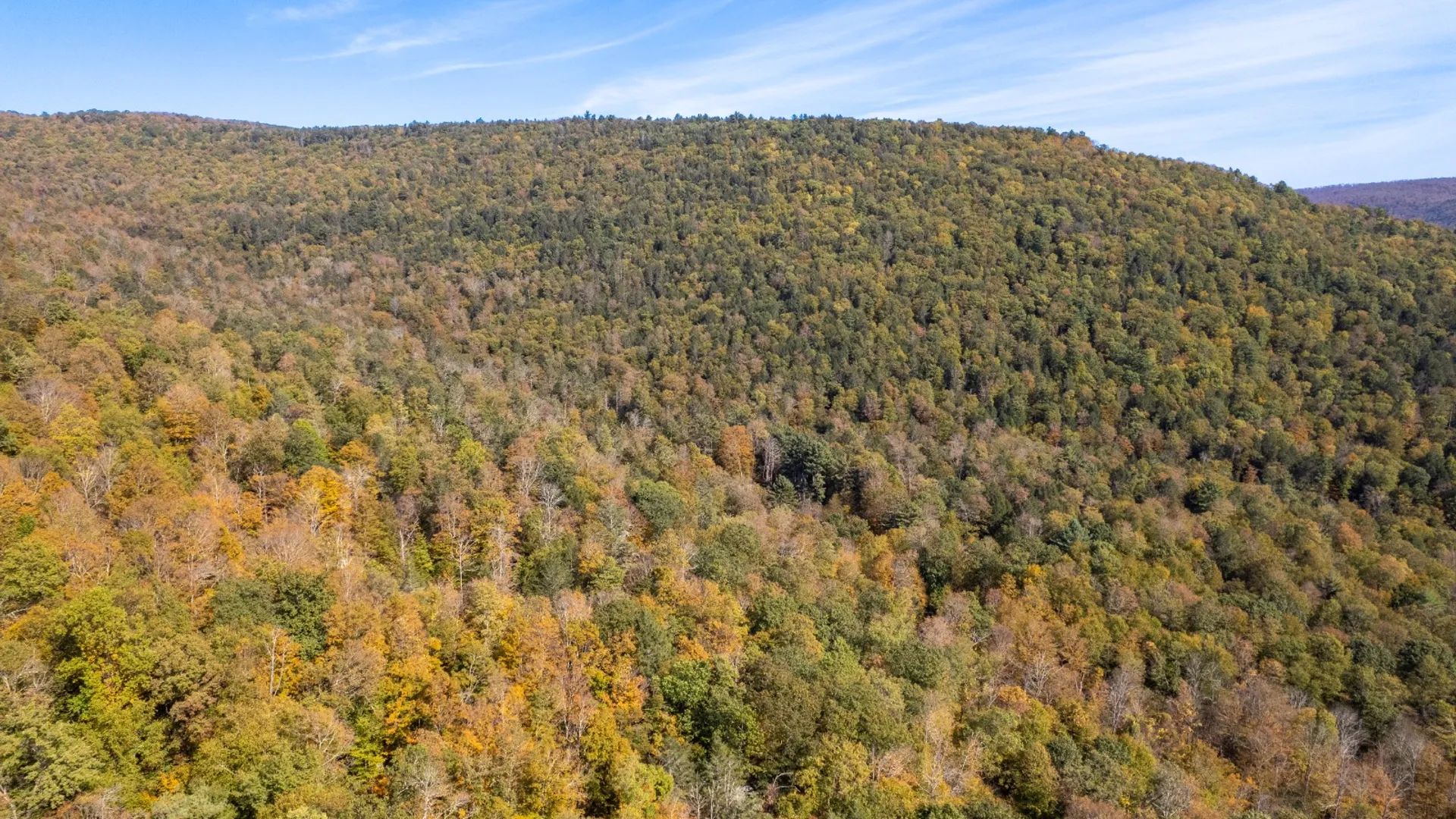 Property at 0 Wheeler Hollow, Hancock, NY 13783 14