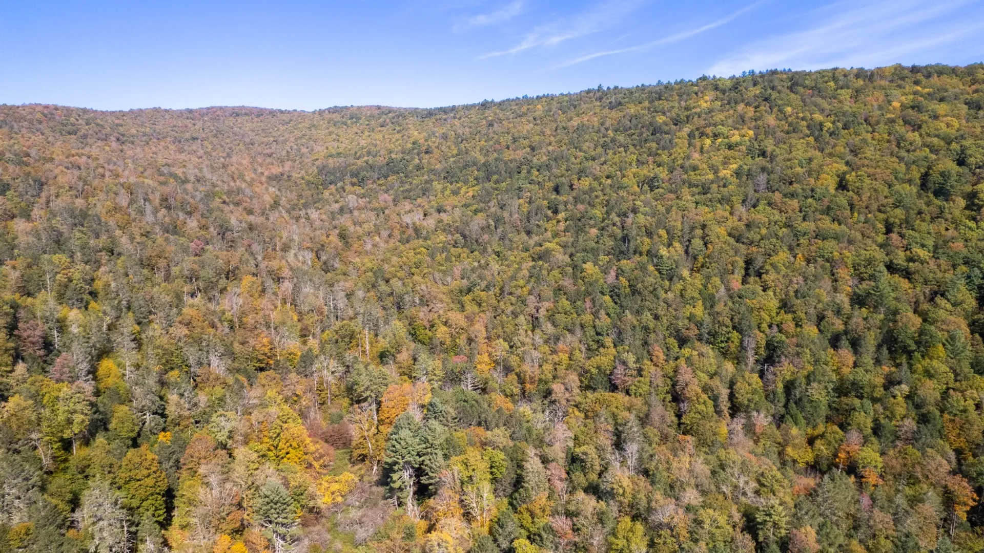 Property at 0 Wheeler Hollow, Hancock, NY 13783 17