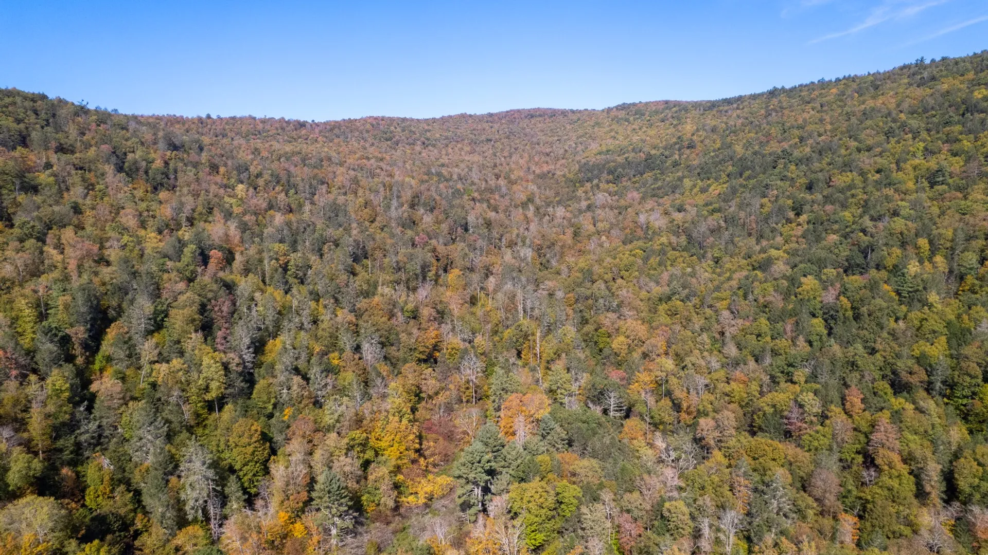 Property at 0 Wheeler Hollow, Hancock, NY 13783 18