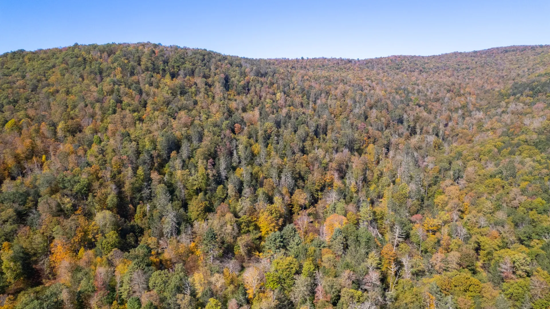 Property at 0 Wheeler Hollow, Hancock, NY 13783 19