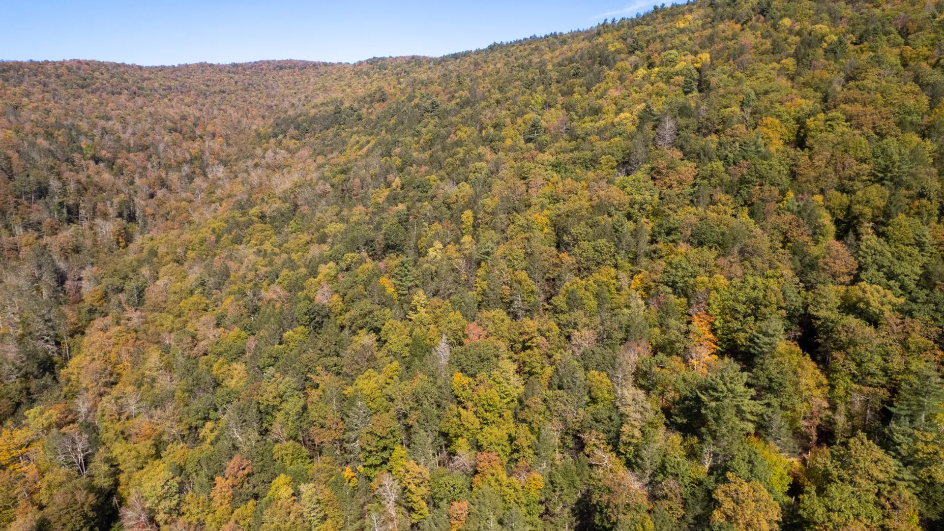 Property at 0 Wheeler Hollow, Hancock, NY 13783 20