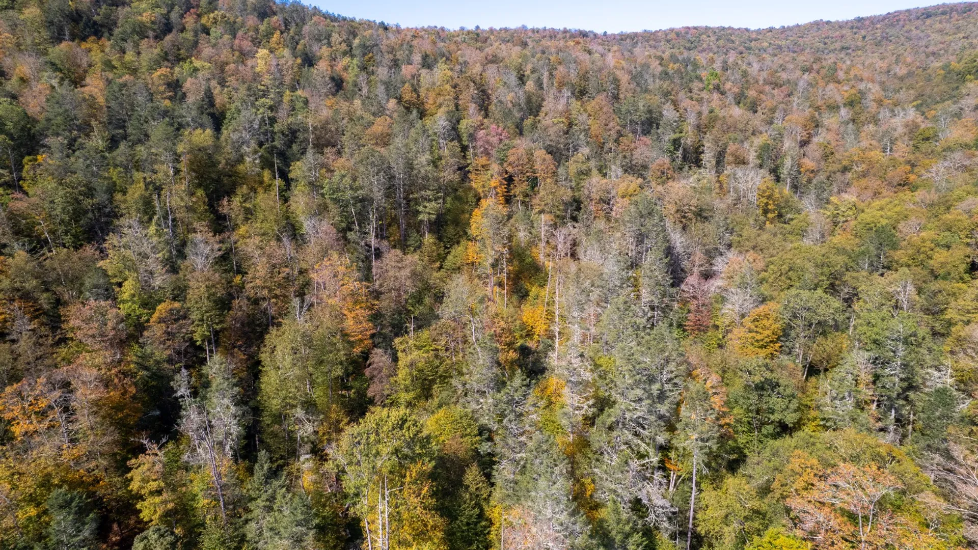 Property at 0 Wheeler Hollow, Hancock, NY 13783 21