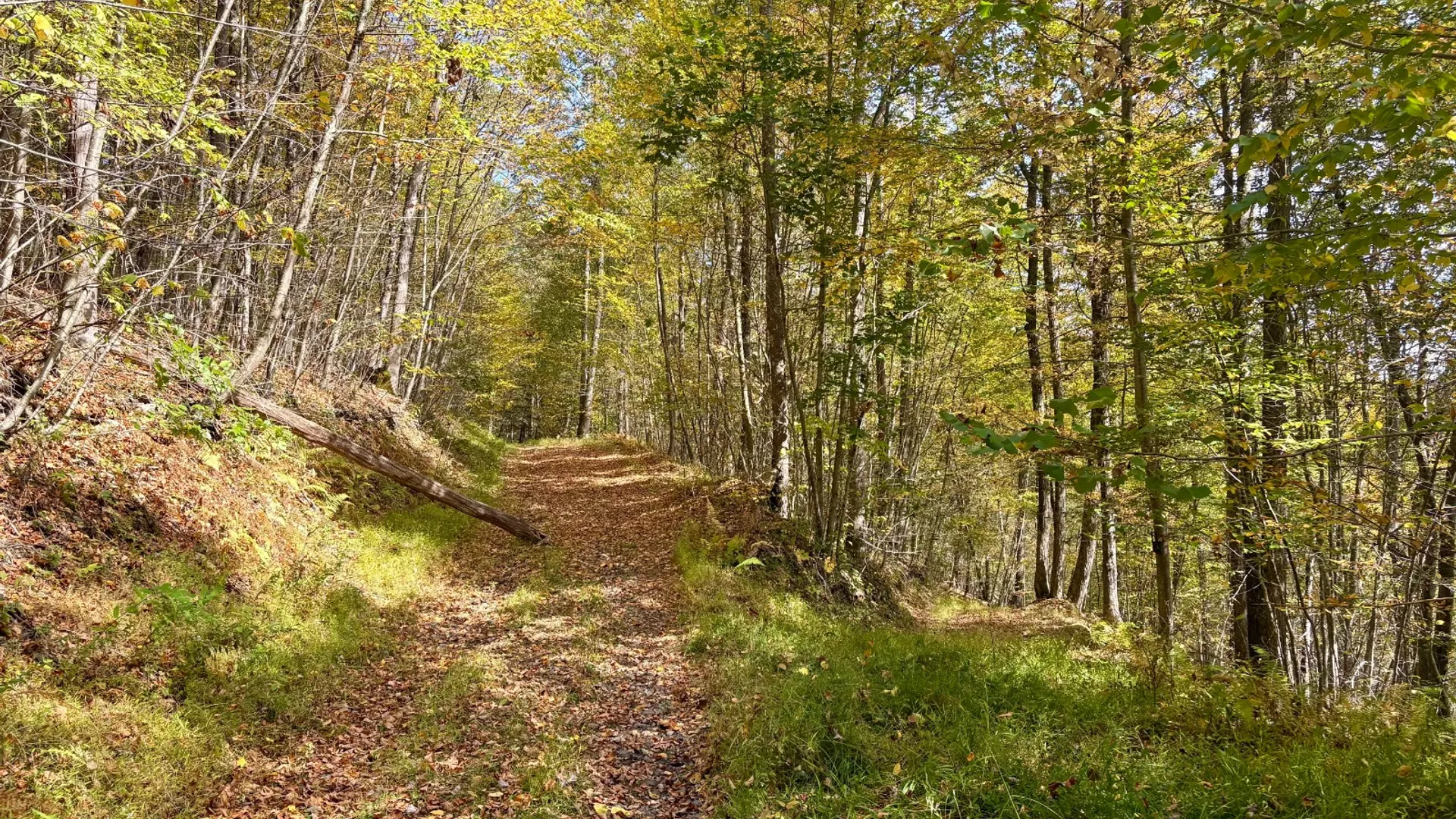 Property at 0 Wheeler Hollow, Hancock, NY 13783 24