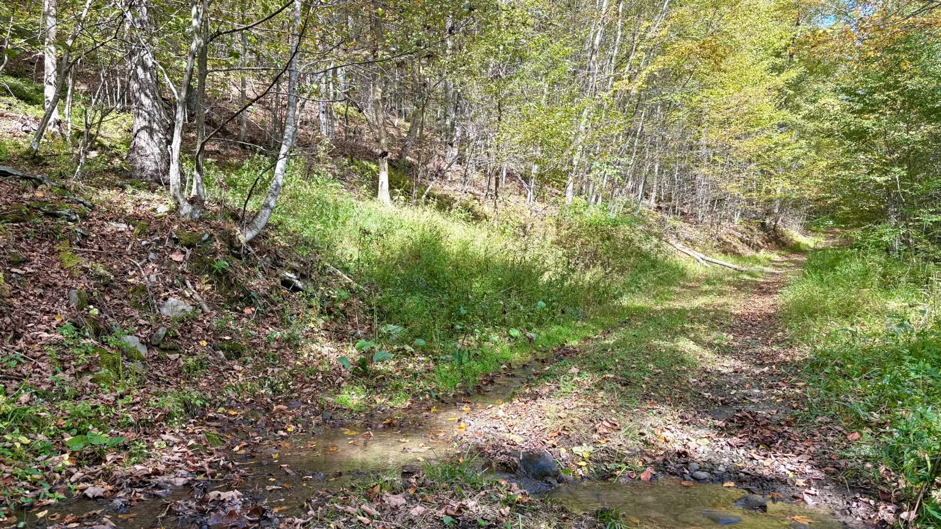 Property at 0 Wheeler Hollow, Hancock, NY 13783 25