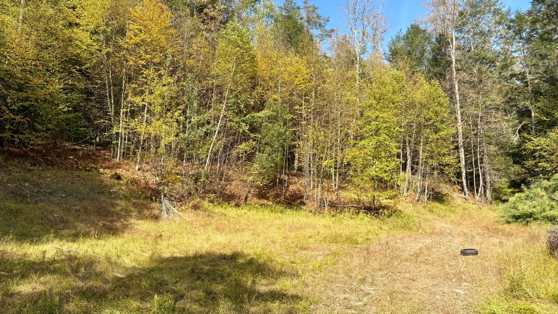Property at 0 Wheeler Hollow, Hancock, NY 13783 27