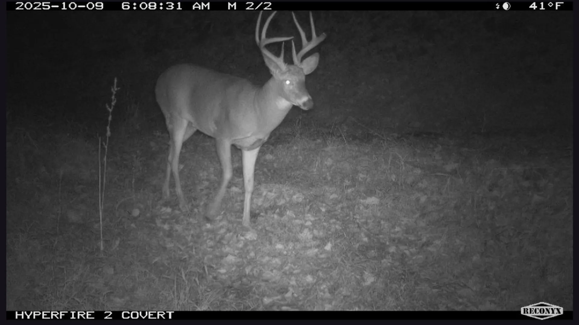 Property at 0 Wheeler Hollow, Hancock, NY 13783 3