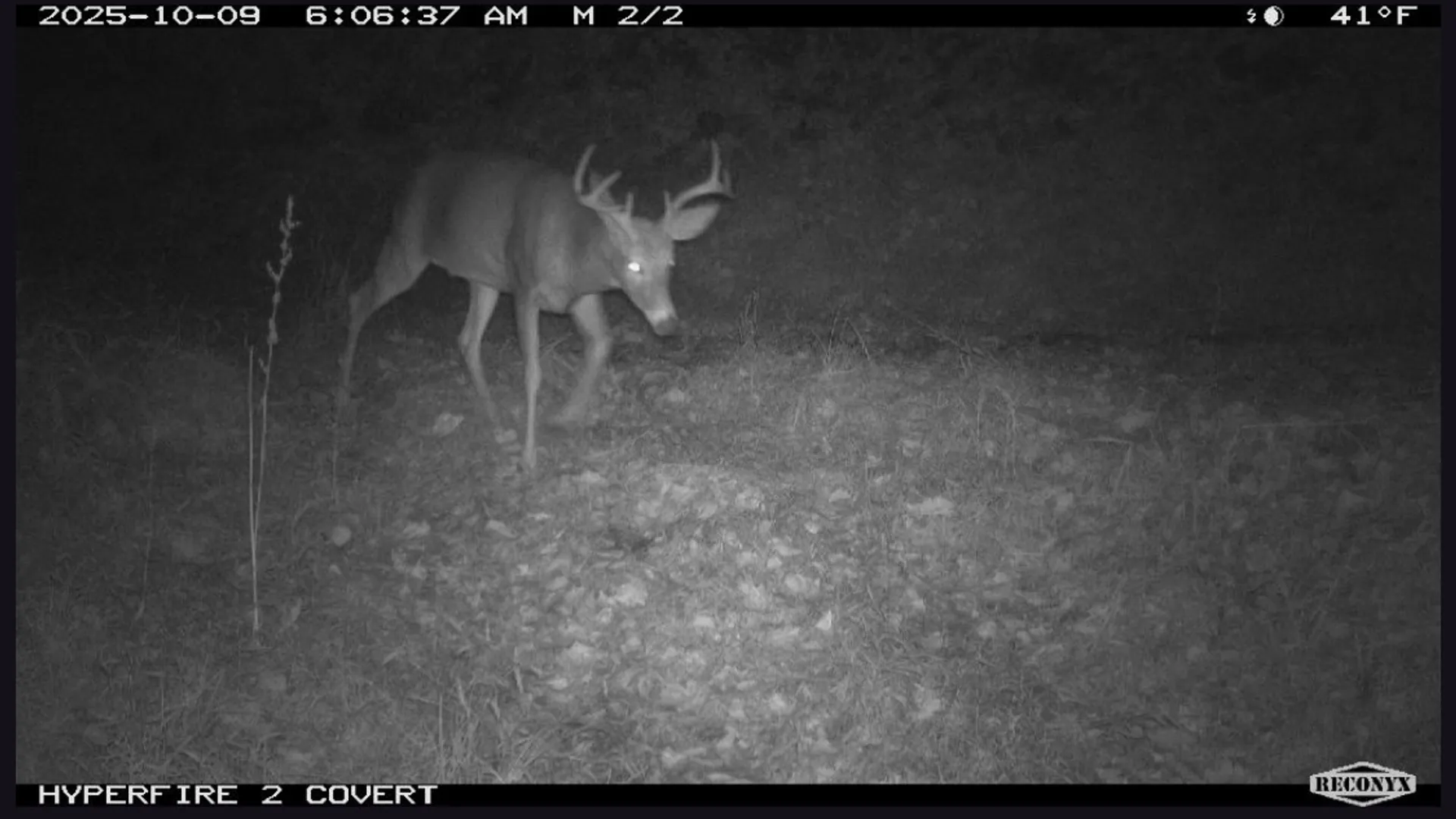 Property at 0 Wheeler Hollow, Hancock, NY 13783 4