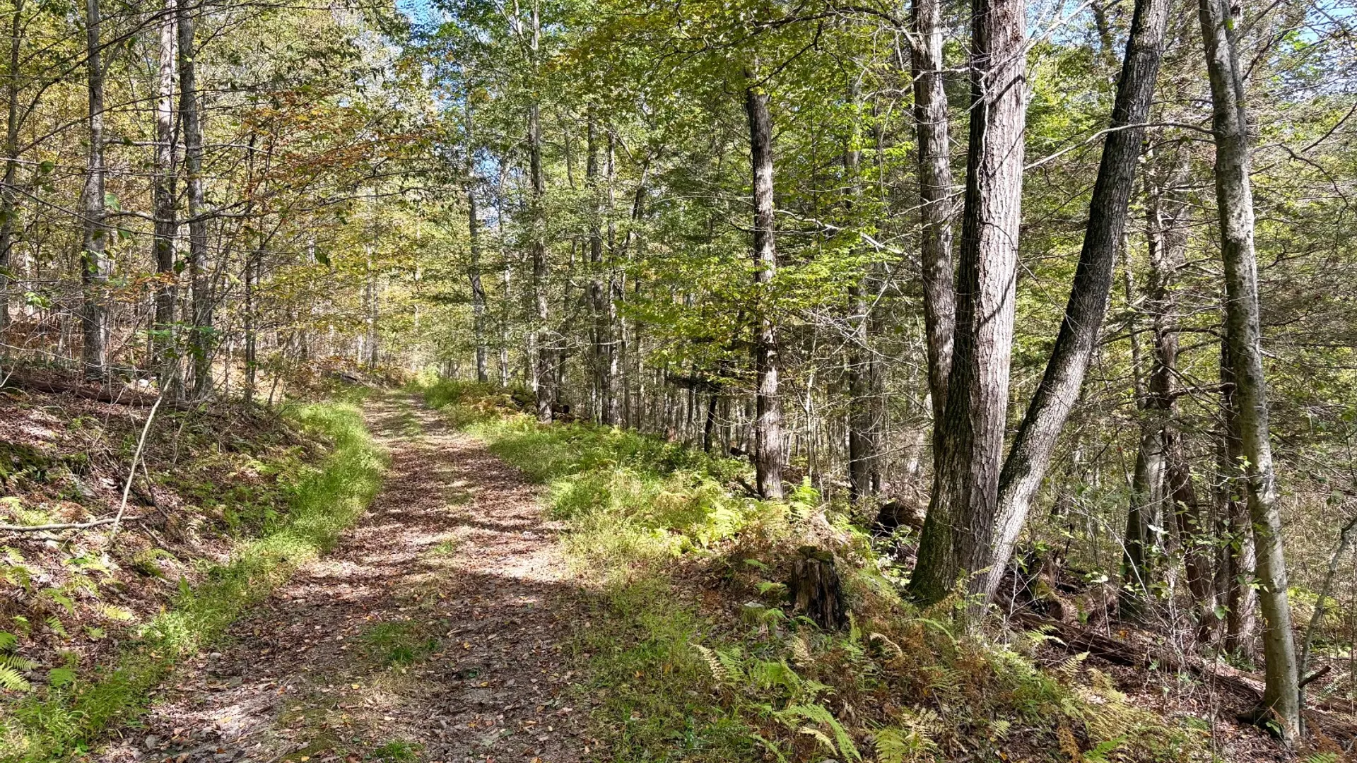 Property at 0 Wheeler Hollow, Hancock, NY 13783 6