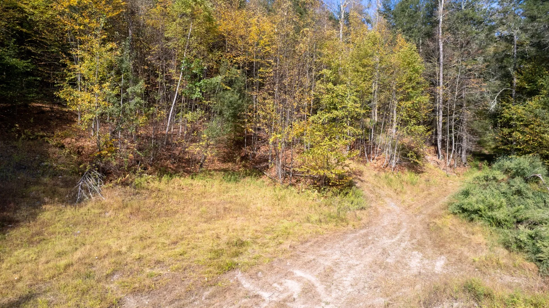 Property at 0 Wheeler Hollow, Hancock, NY 13783 8