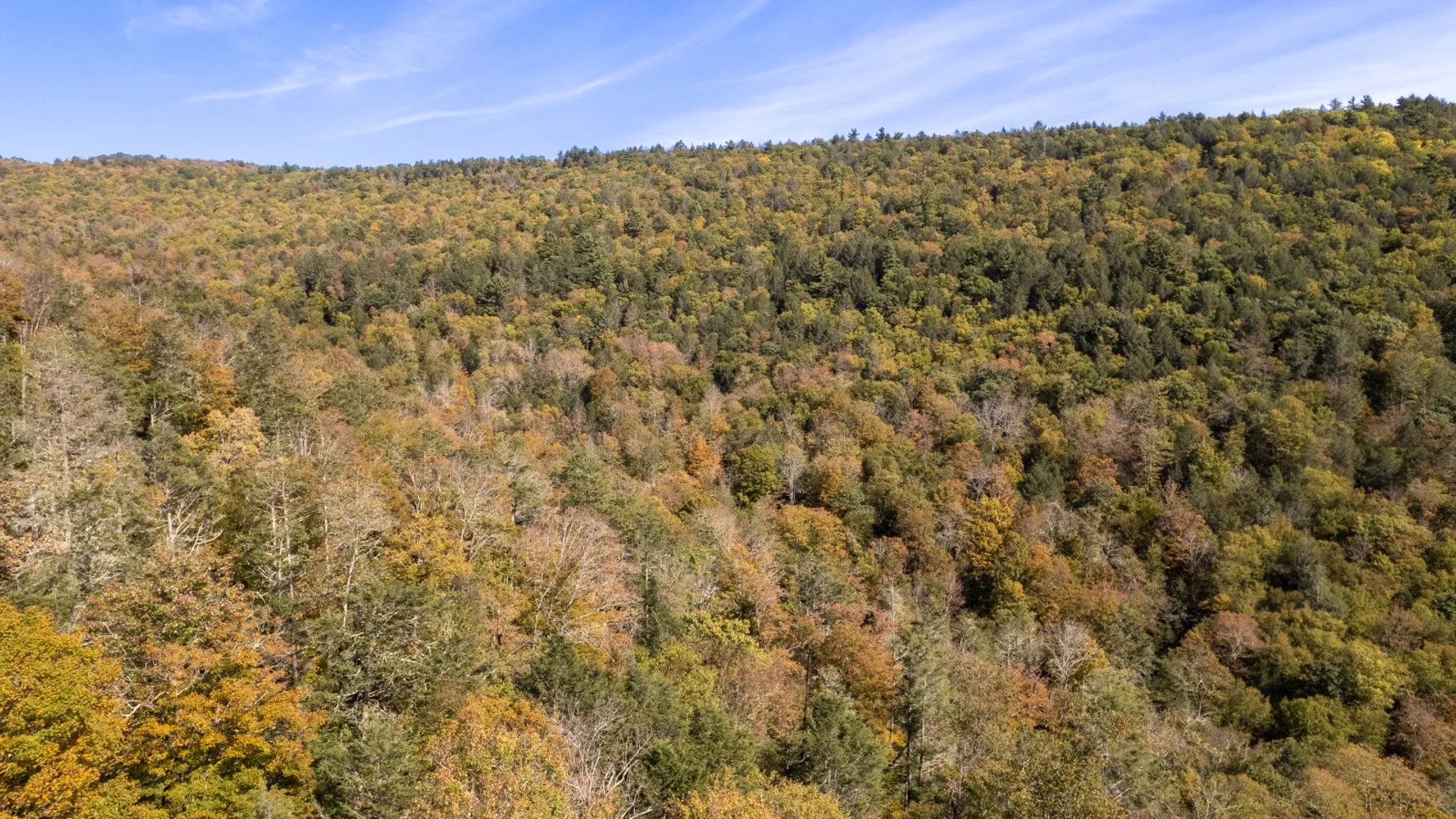 Property at 0 Wheeler Hollow, Hancock, NY 13783 9