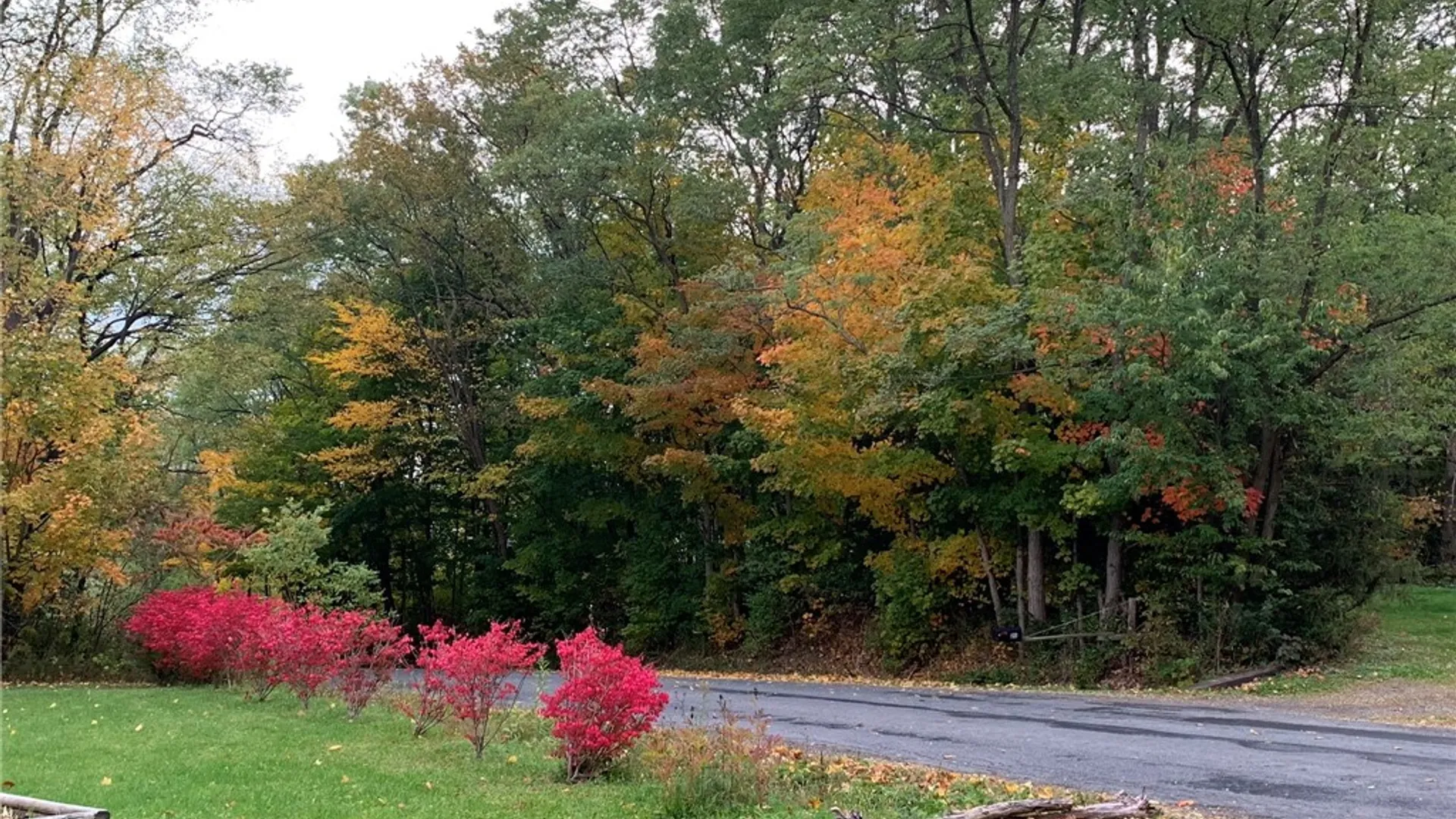 Property at 22 Mineah Road, Dryden, NY 13068 29
