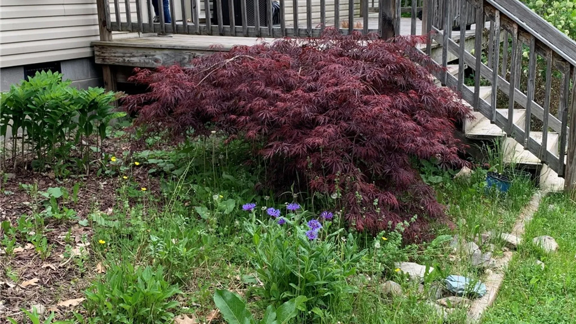 Property at 22 Mineah Road, Dryden, NY 13068 31