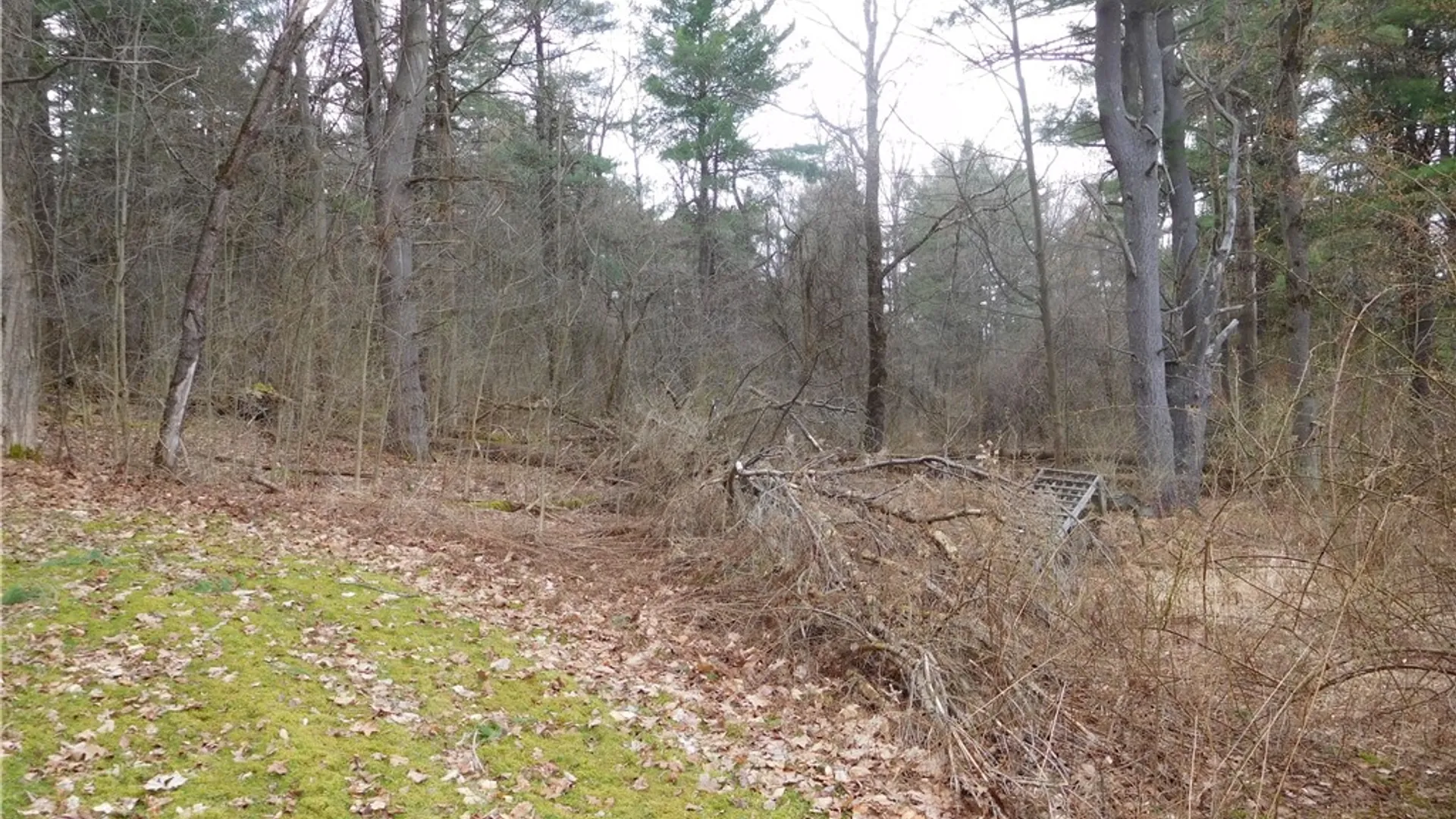 Property at 22 Mineah Road, Dryden, NY 13068 33