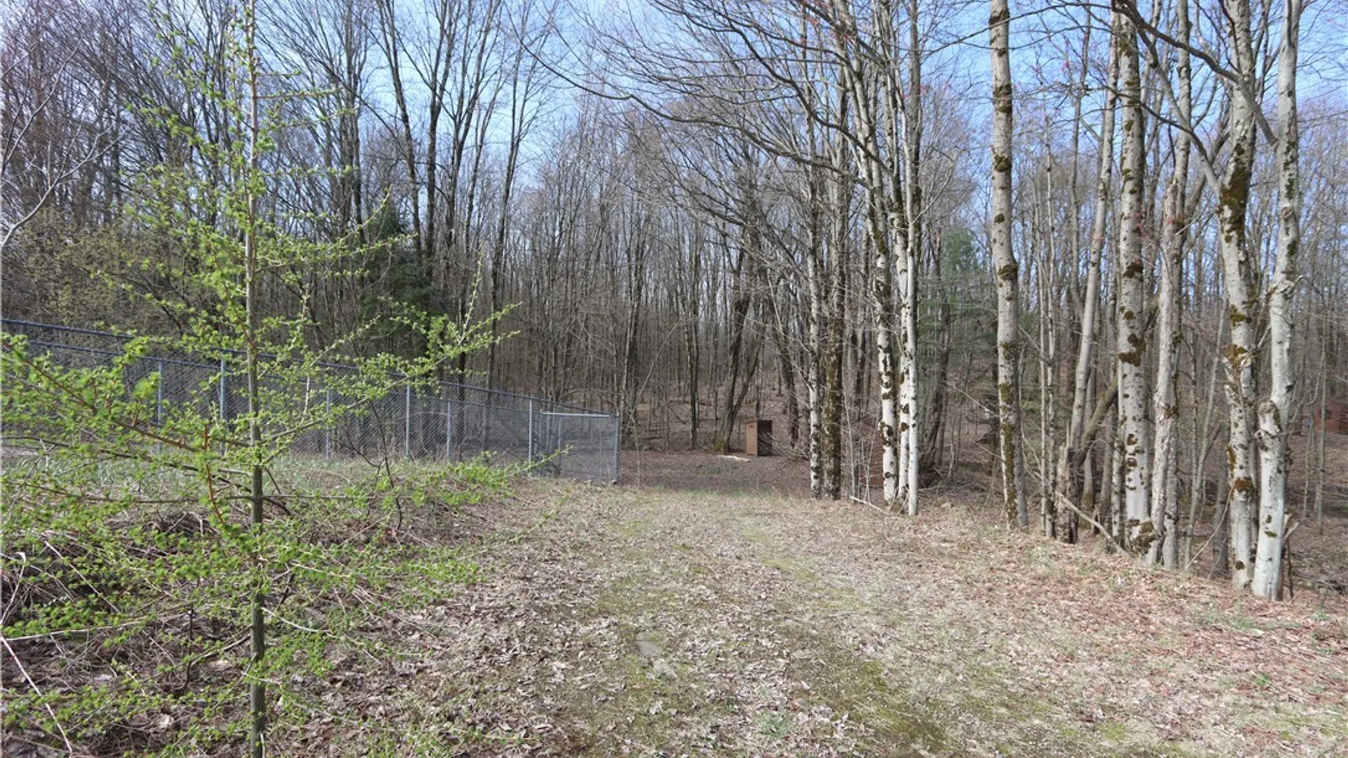 Property at 175 Bremm Road, Boylston, NY 13083 18