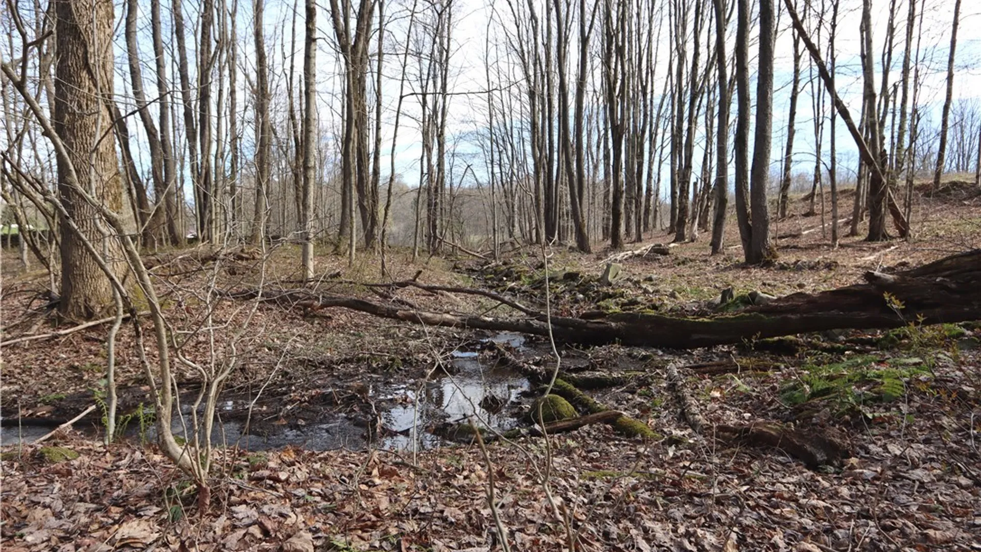 Property at 175 Bremm Road, Boylston, NY 13083 4