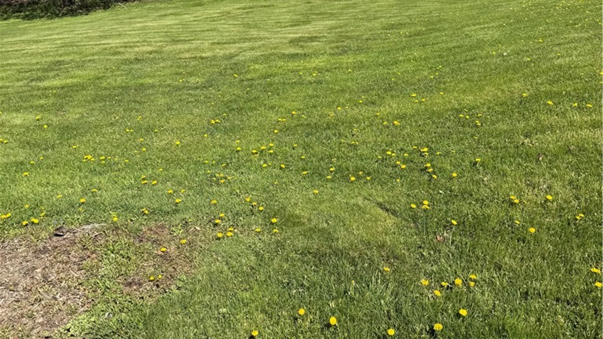 Property at 3239 Mack Street, Corning, NY 14830 27