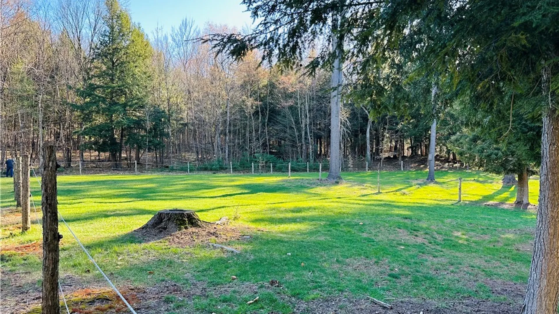 Property at 6531 Mcphilmy Road, Watson, NY 13367 27