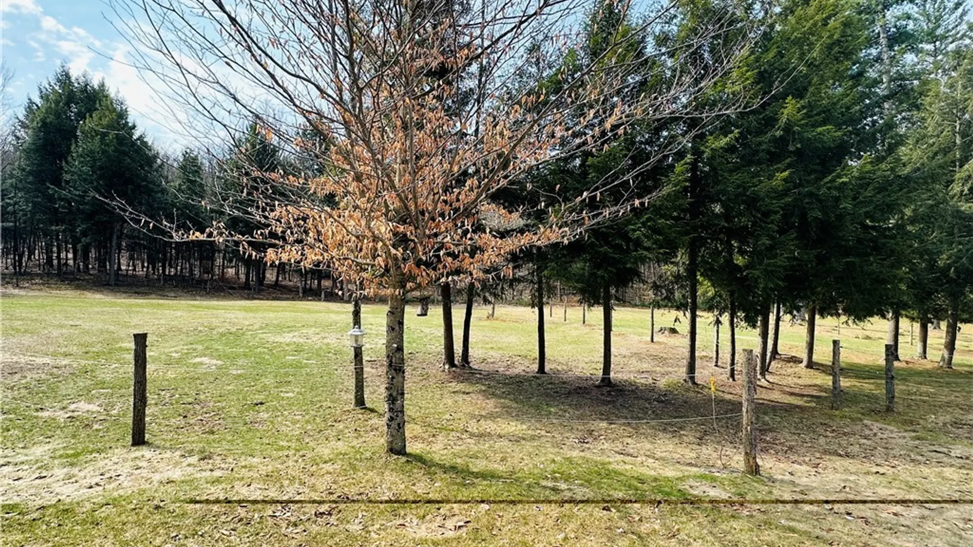 Property at 6531 Mcphilmy Road, Watson, NY 13367 29