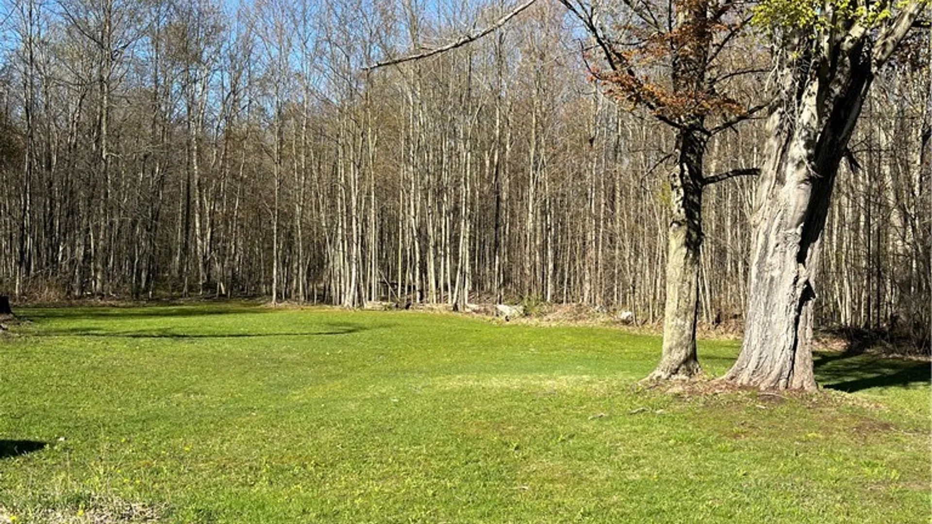 Property at 12920 Upton Road, Victory, NY 13143 2