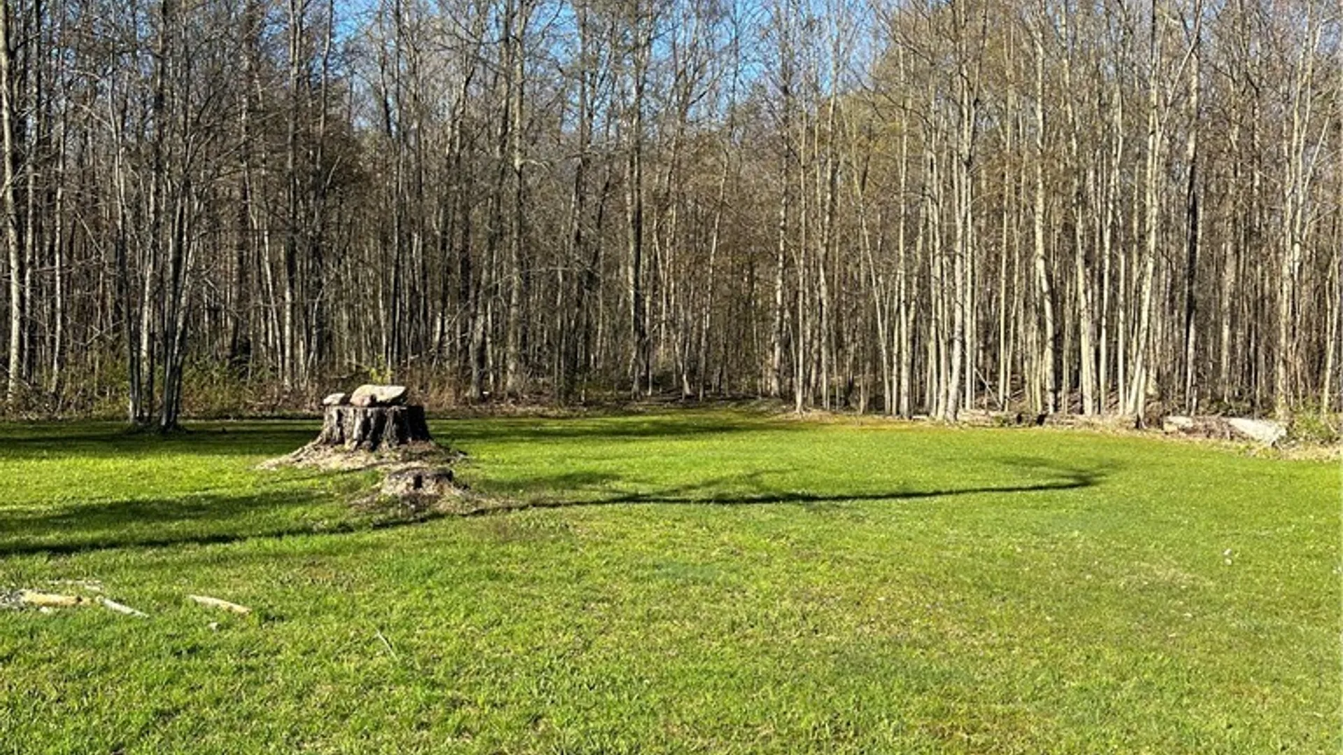 Property at 12920 Upton Road, Victory, NY 13143 3