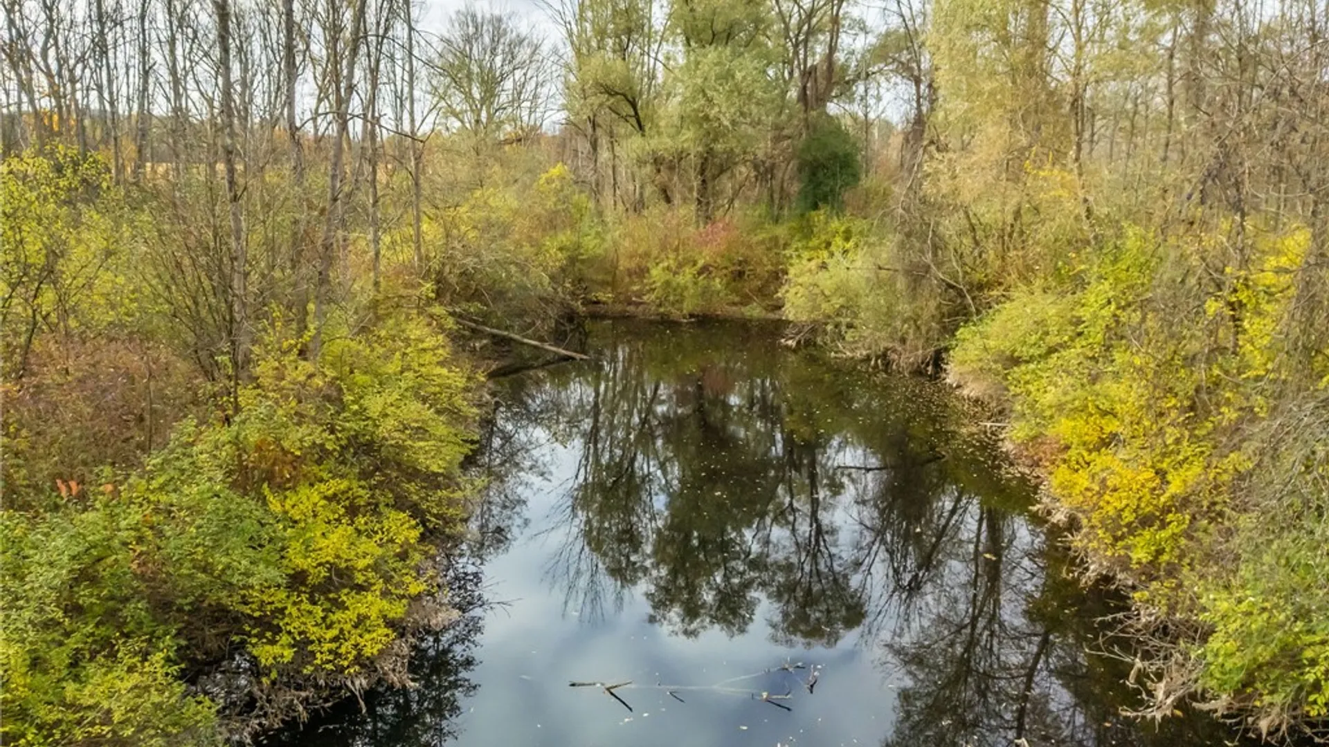 Property at 8009 State Route 251, Victor, NY 14564 11