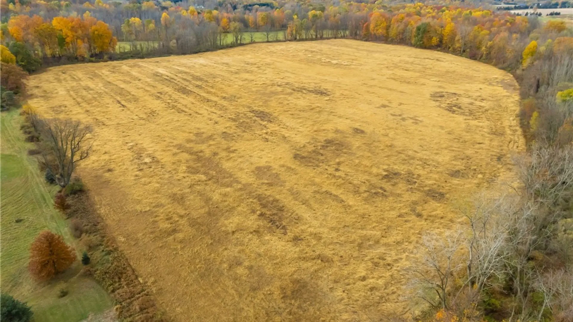 Property at 8009 State Route 251, Victor, NY 14564 12