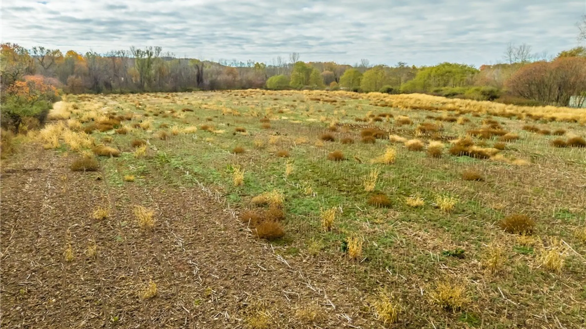 Property at 8009 State Route 251, Victor, NY 14564 5