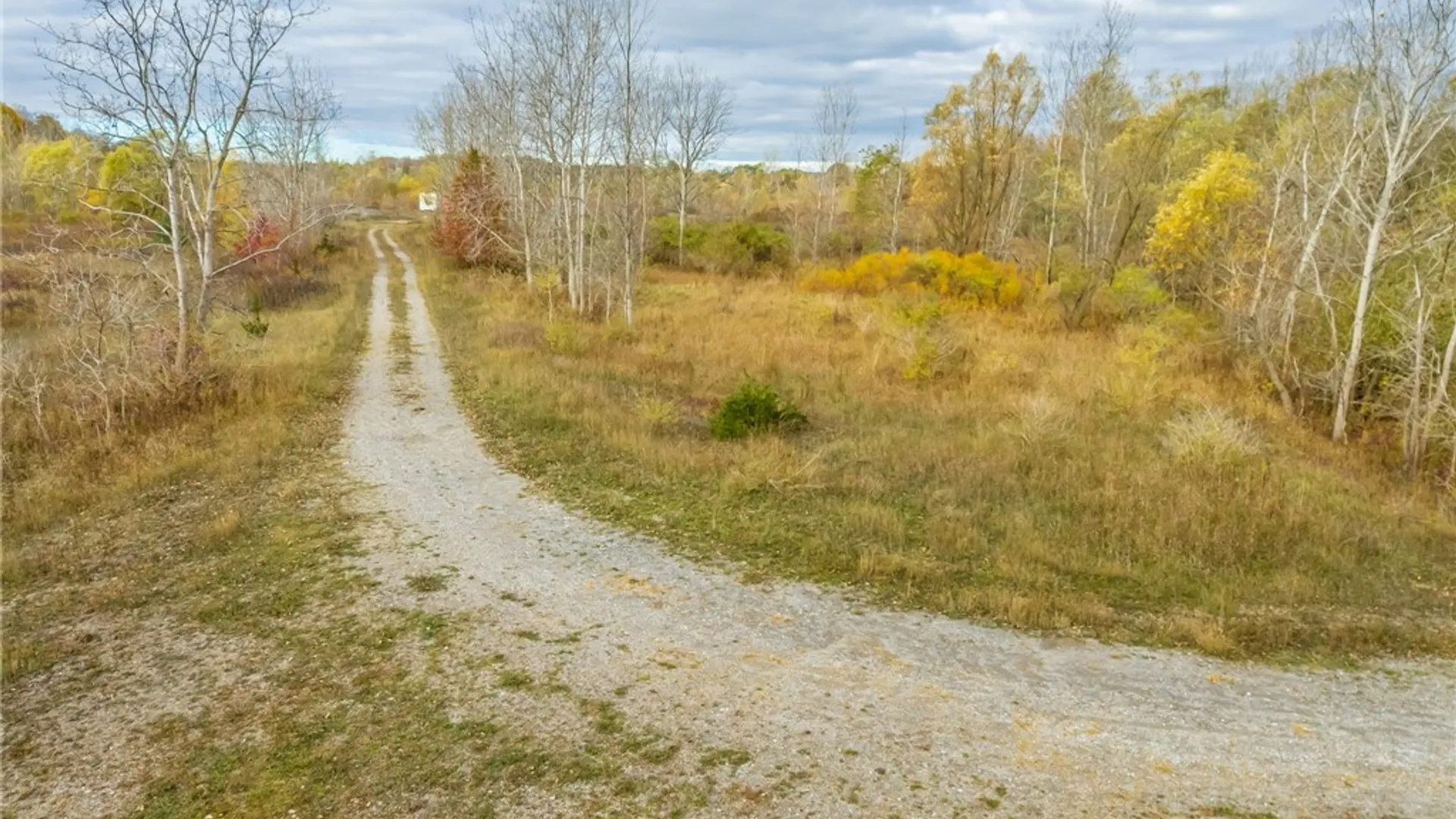 Property at 8009 State Route 251, Victor, NY 14564 7