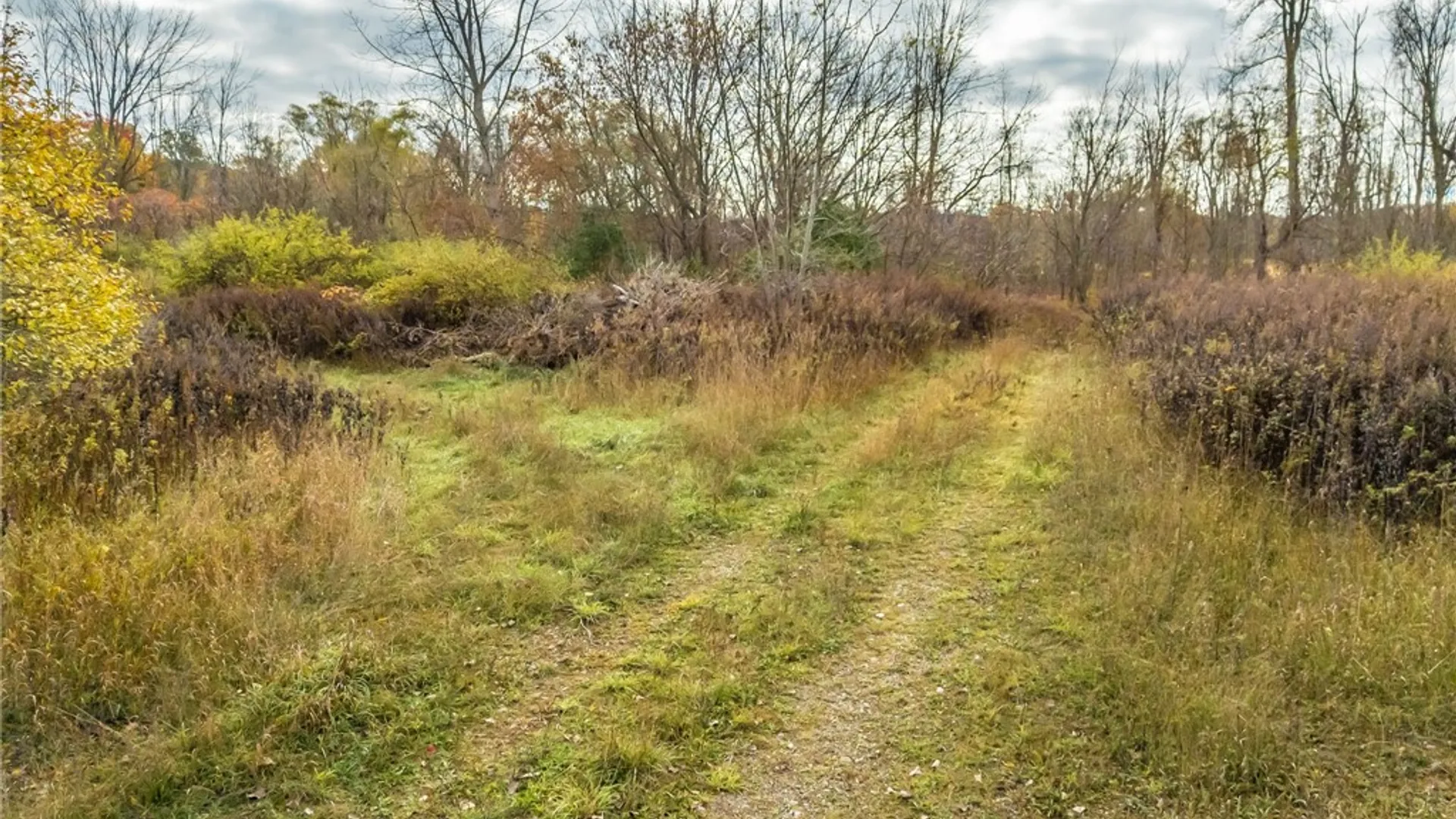 Property at 8009 State Route 251, Victor, NY 14564 9