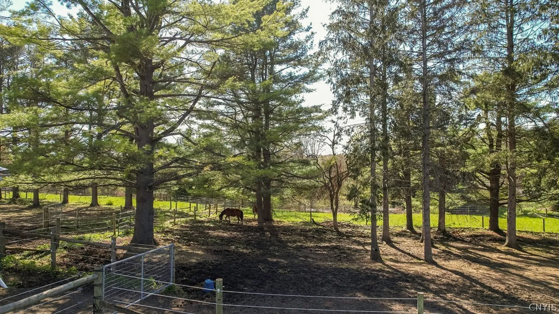 Property at 3910 Seneca, Onondaga, NY 13215 38