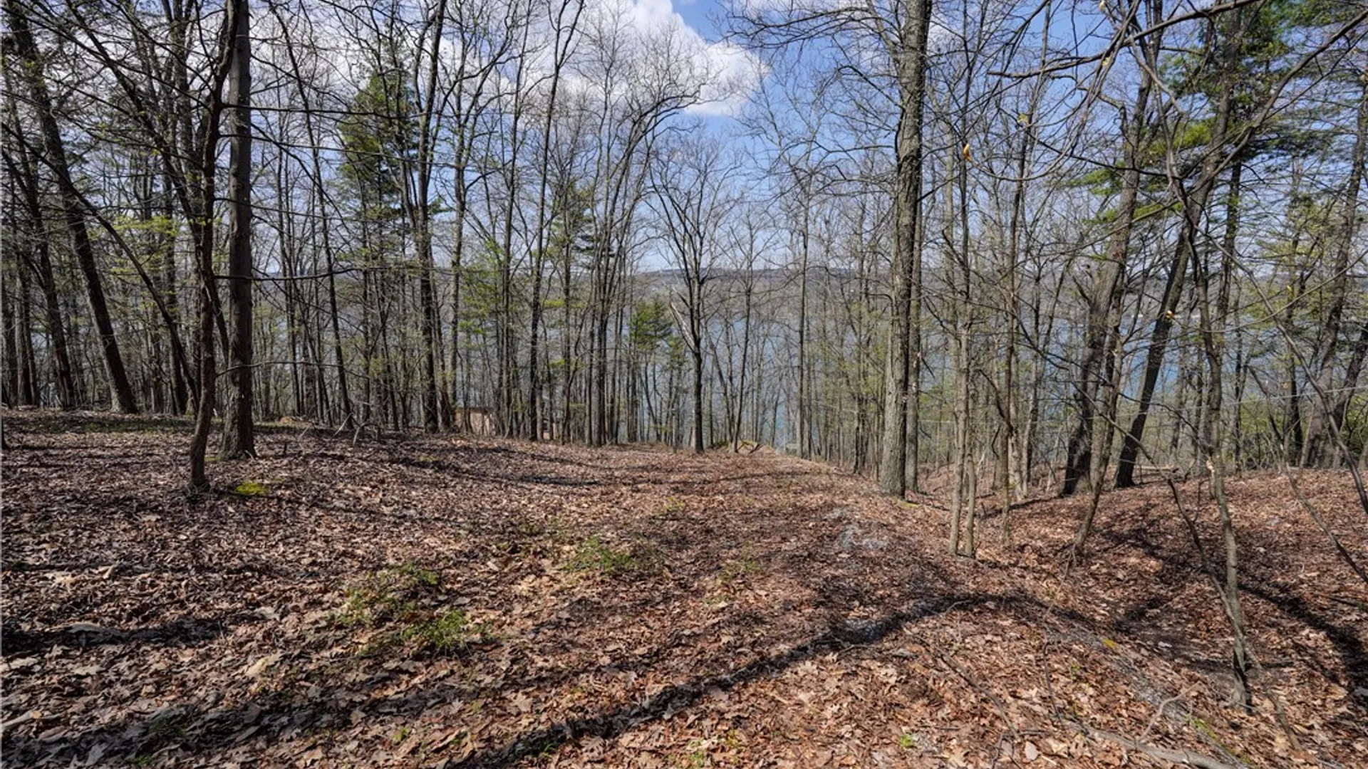 Property at 5368 County Road 11, Gorham, NY 14544 18