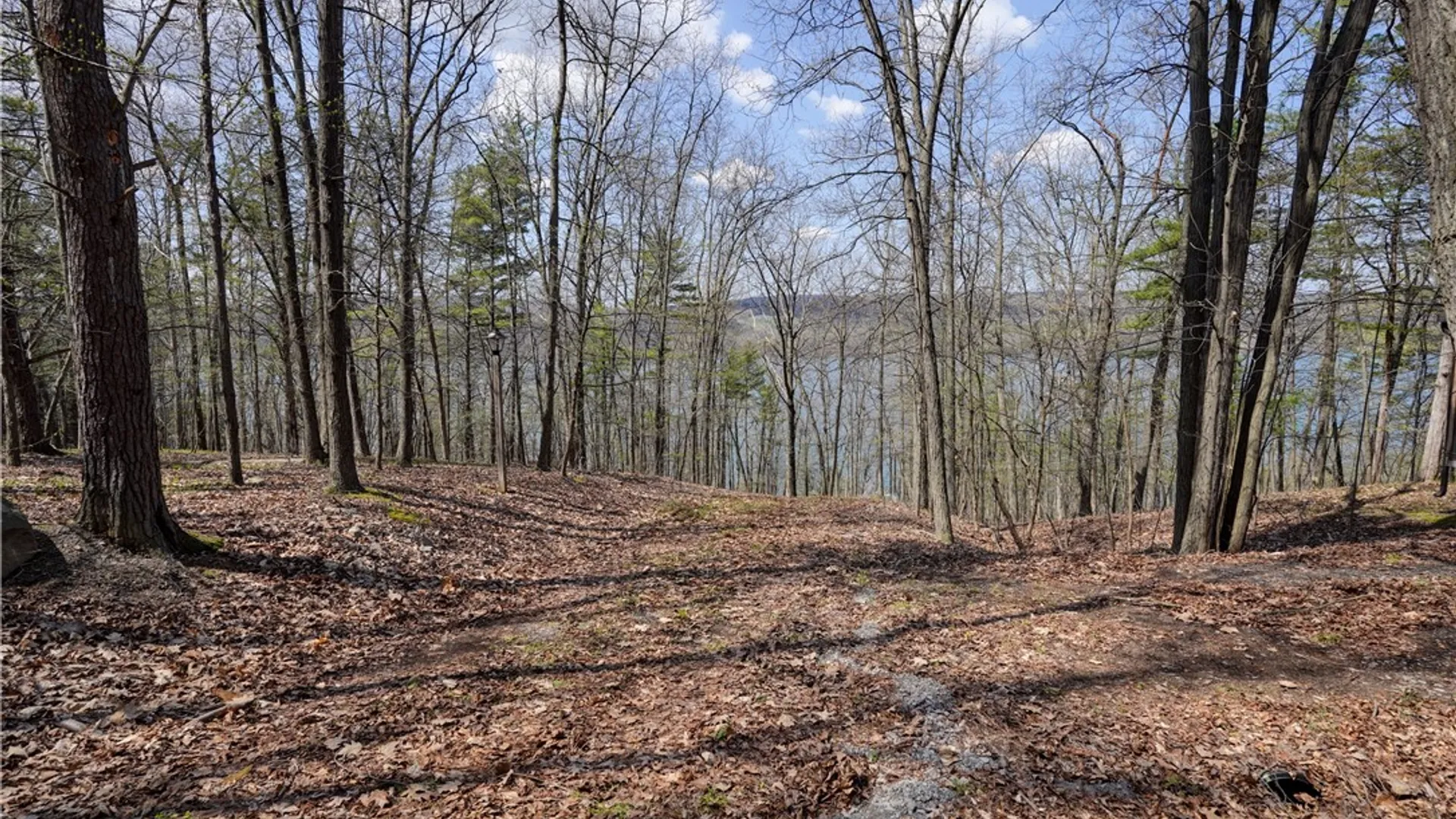 Property at 5368 County Road 11, Gorham, NY 14544 19