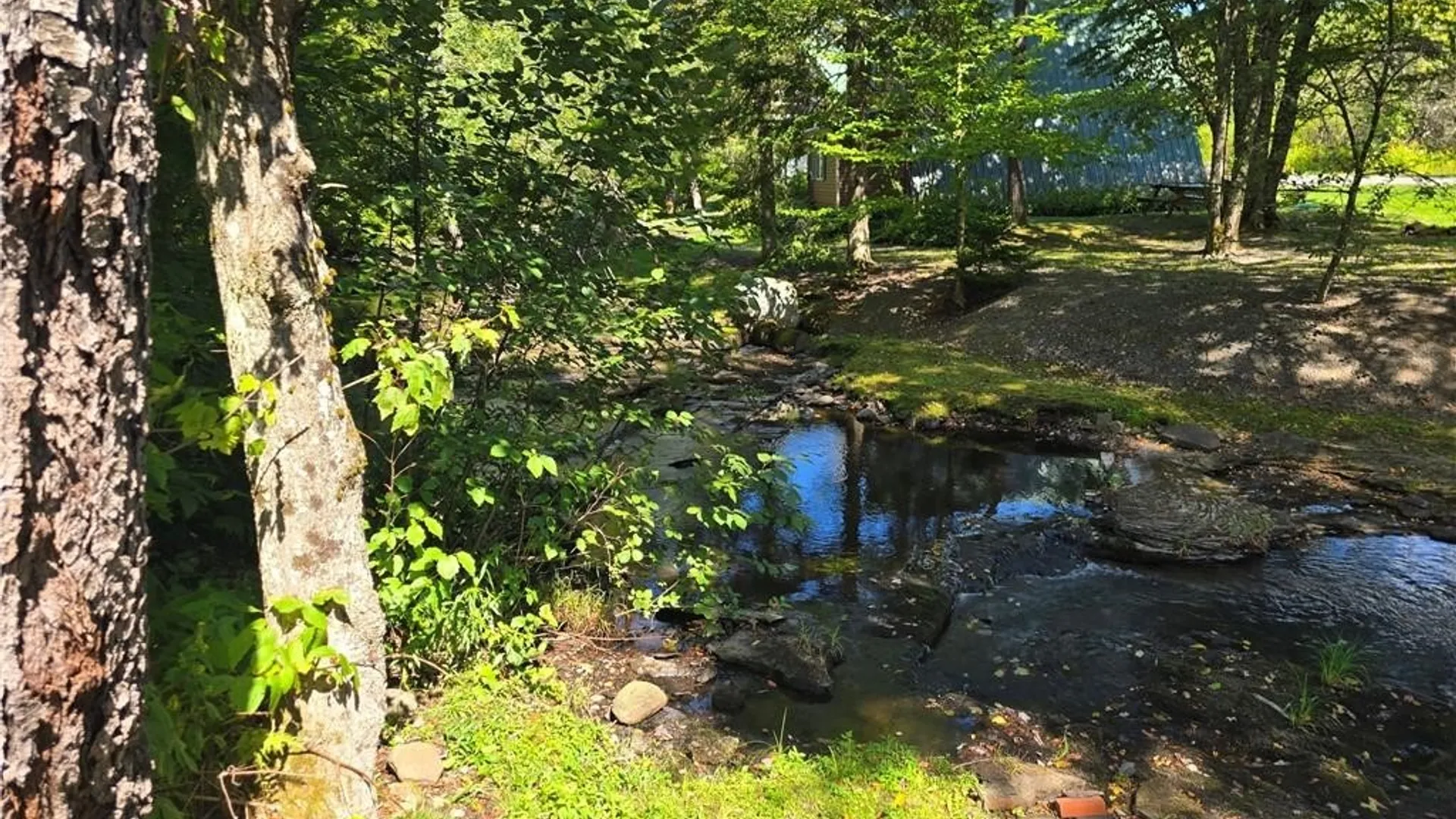 Property at 1051 Osceola Road, Osceola, NY 13437 21