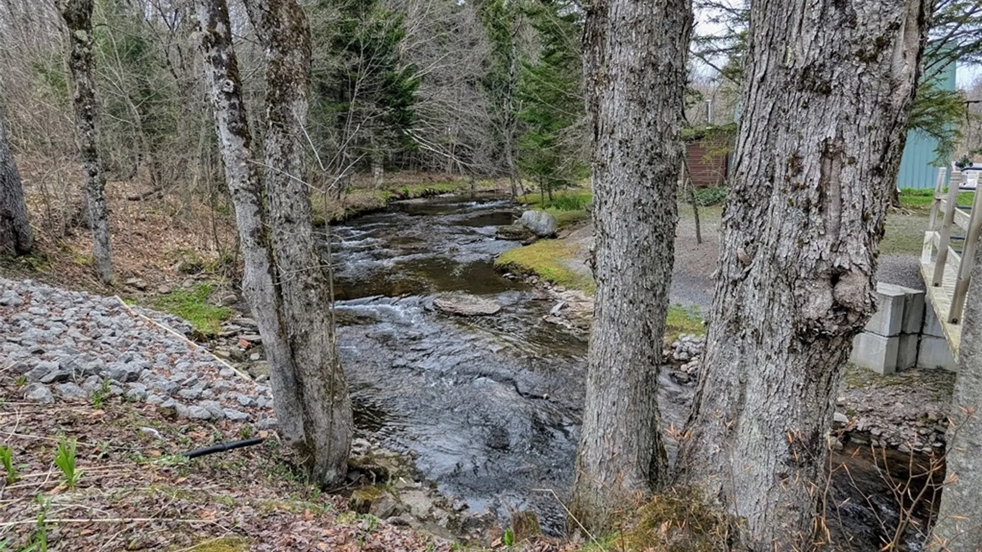Property at 1051 Osceola Road, Osceola, NY 13437 41