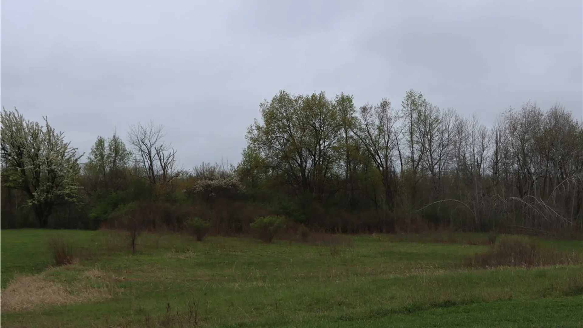 Property at 0 VL Rose Road, Batavia, NY 14020 2