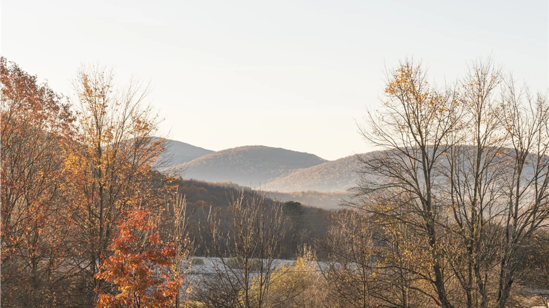 Property at 73 Reagan Road, Bovina, NY 13740 3