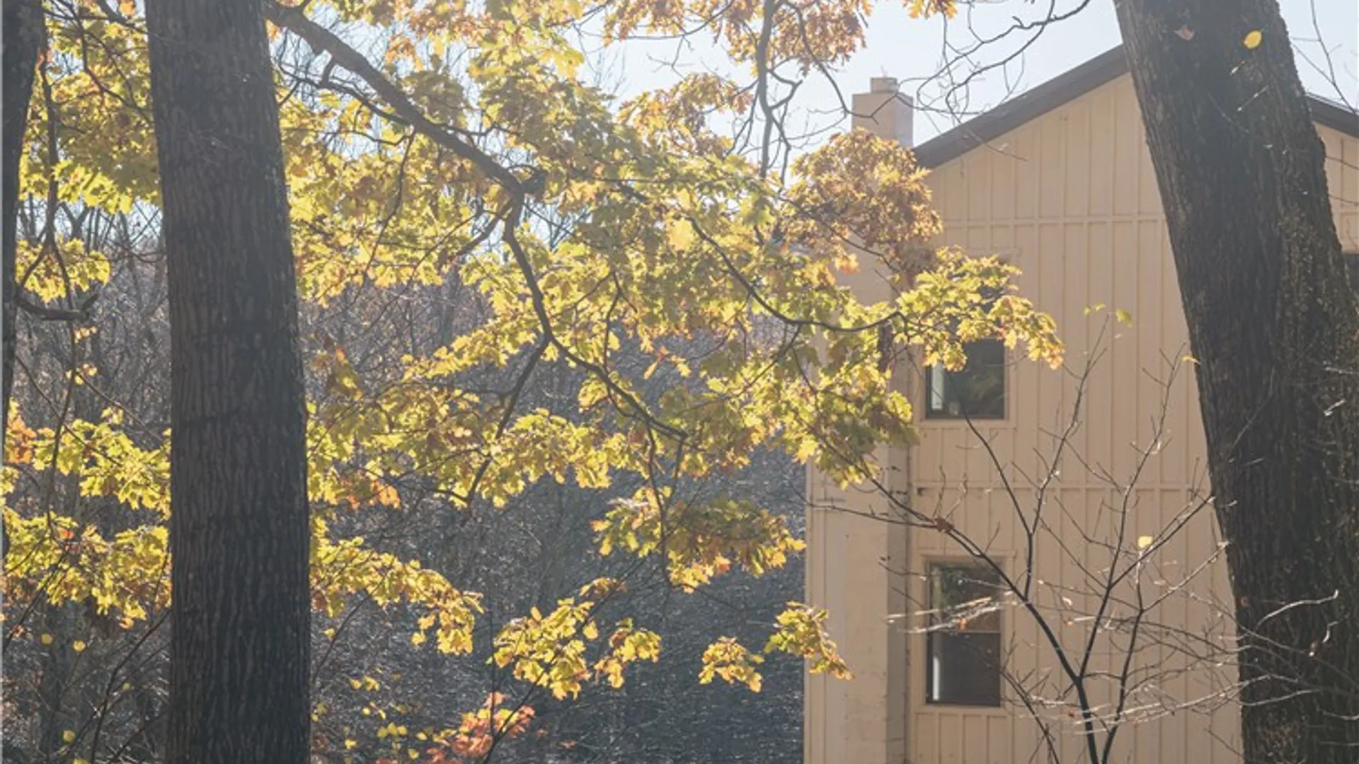 Property at 73 Reagan Road, Bovina, NY 13740 42