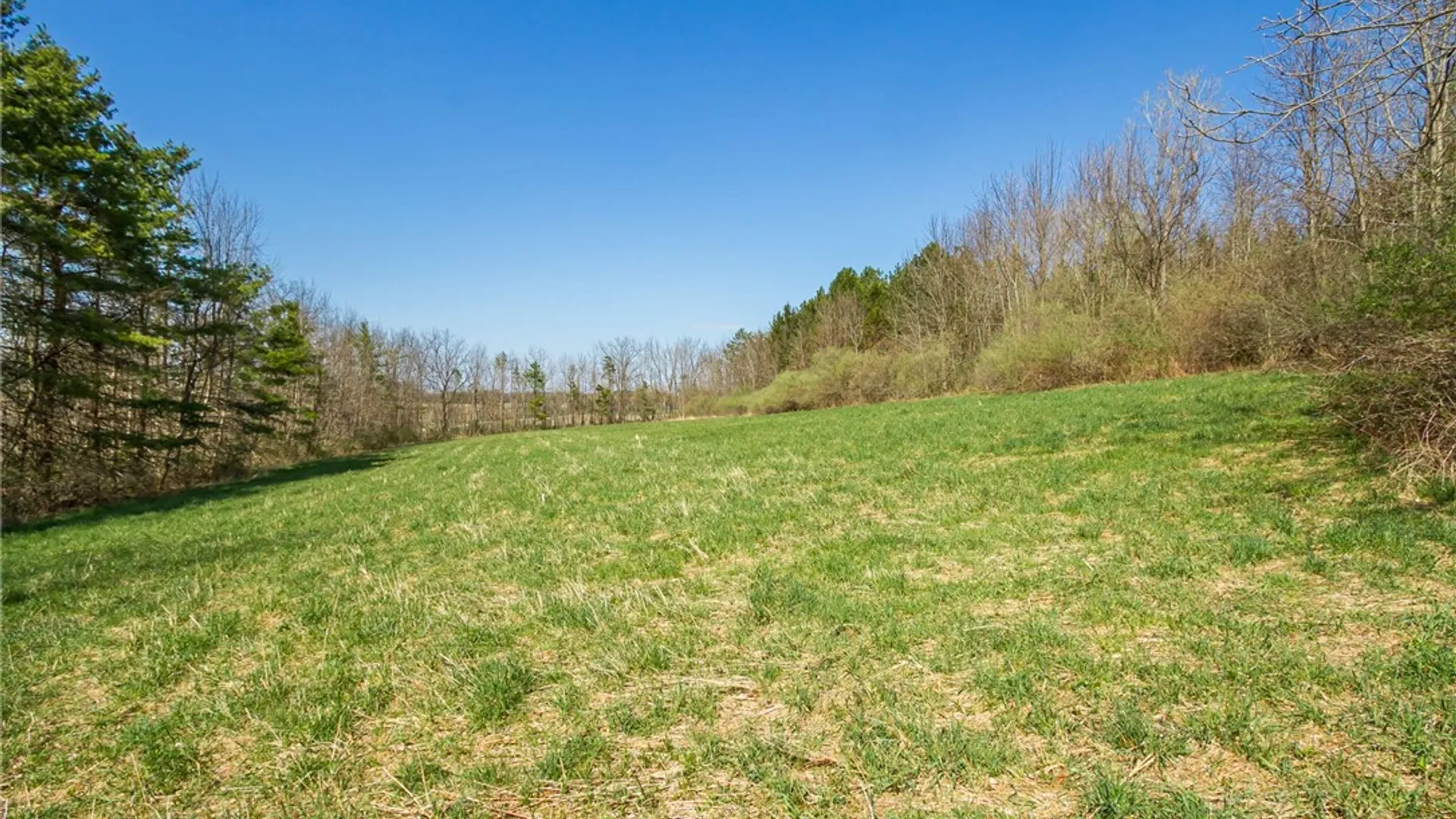 Property at 3170 Bailey Road, East Bloomfield, NY 14469 40