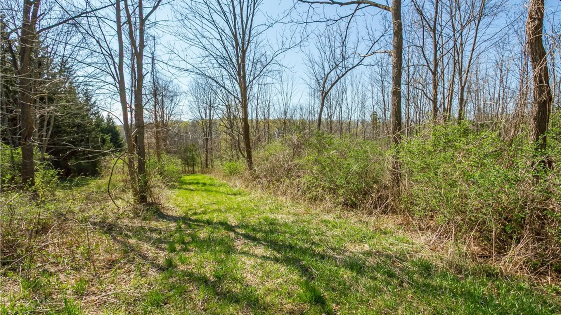 Property at 3170 Bailey Road, East Bloomfield, NY 14469 41