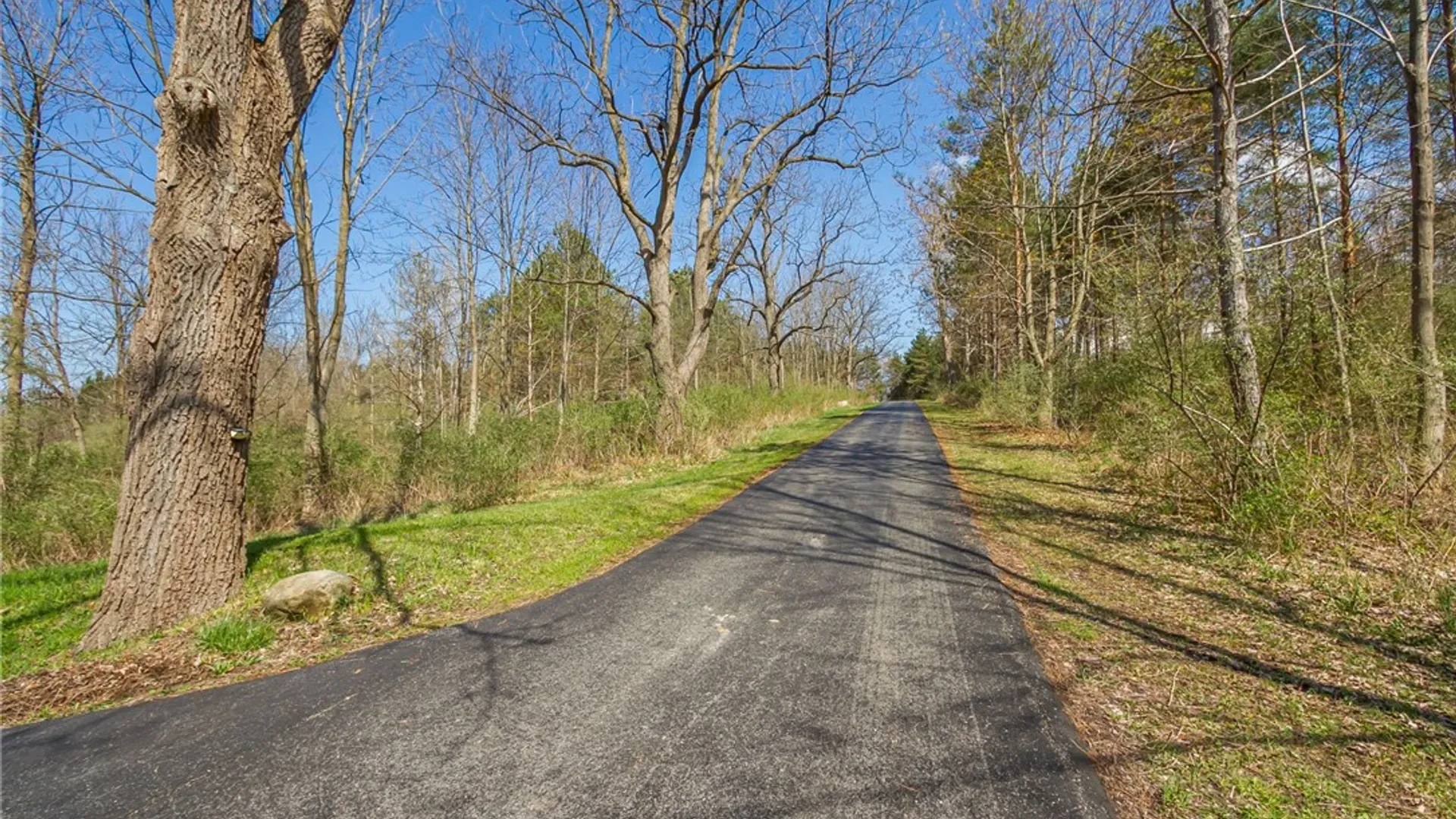 Property at 3170 Bailey Road, East Bloomfield, NY 14469 42