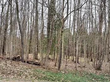 Property at Steam Mill Road, Camden, NY 13316