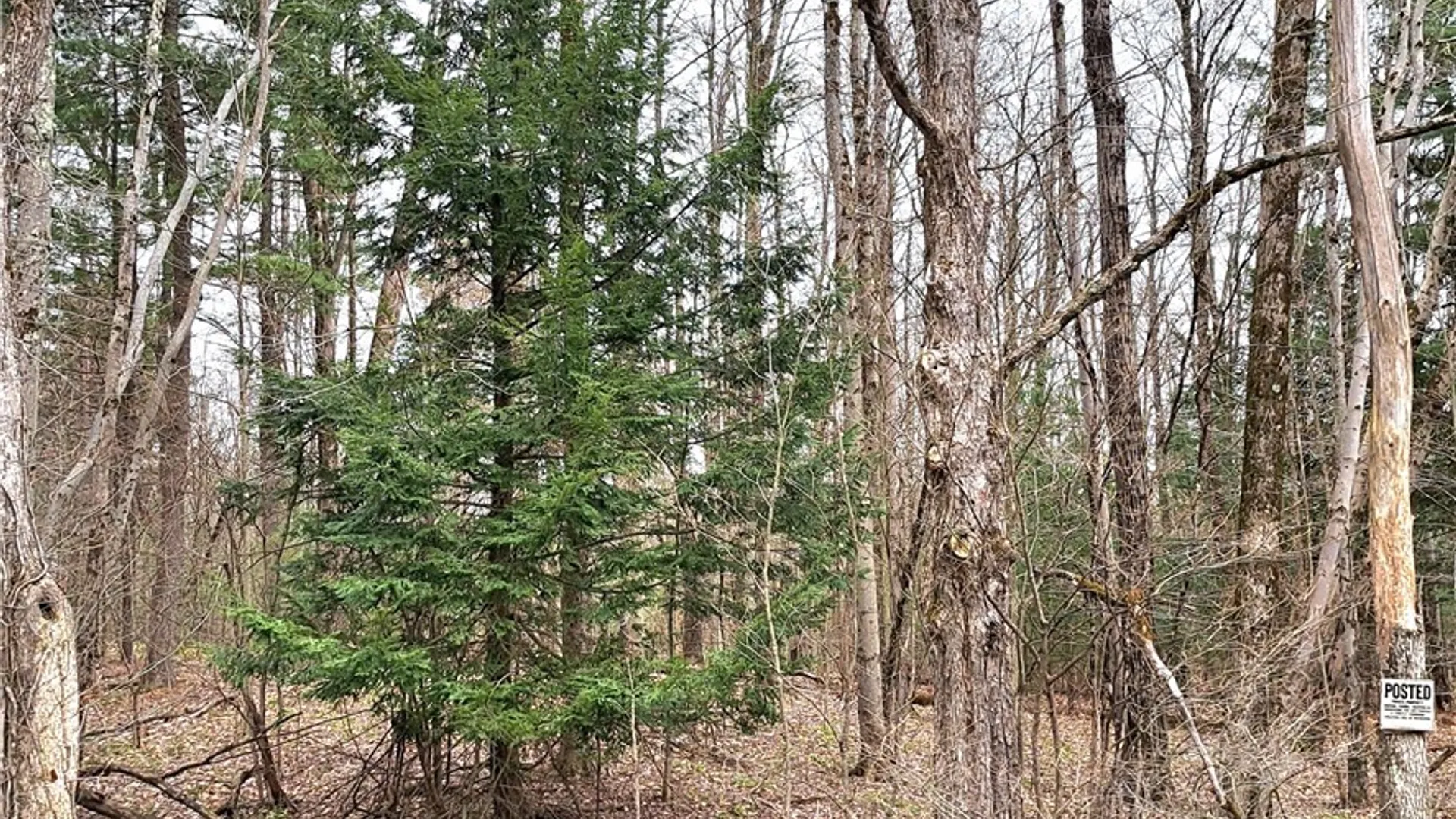 Property at Steam Mill Road, Camden, NY 13316 2
