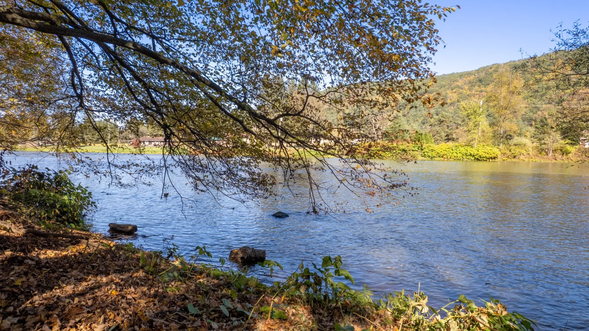 Property at 810 River Rd, Deposit, NY 13754 15
