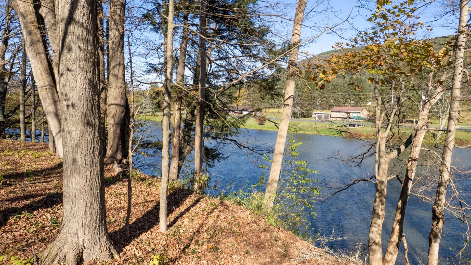 Property at 810 River Rd, Deposit, NY 13754 16