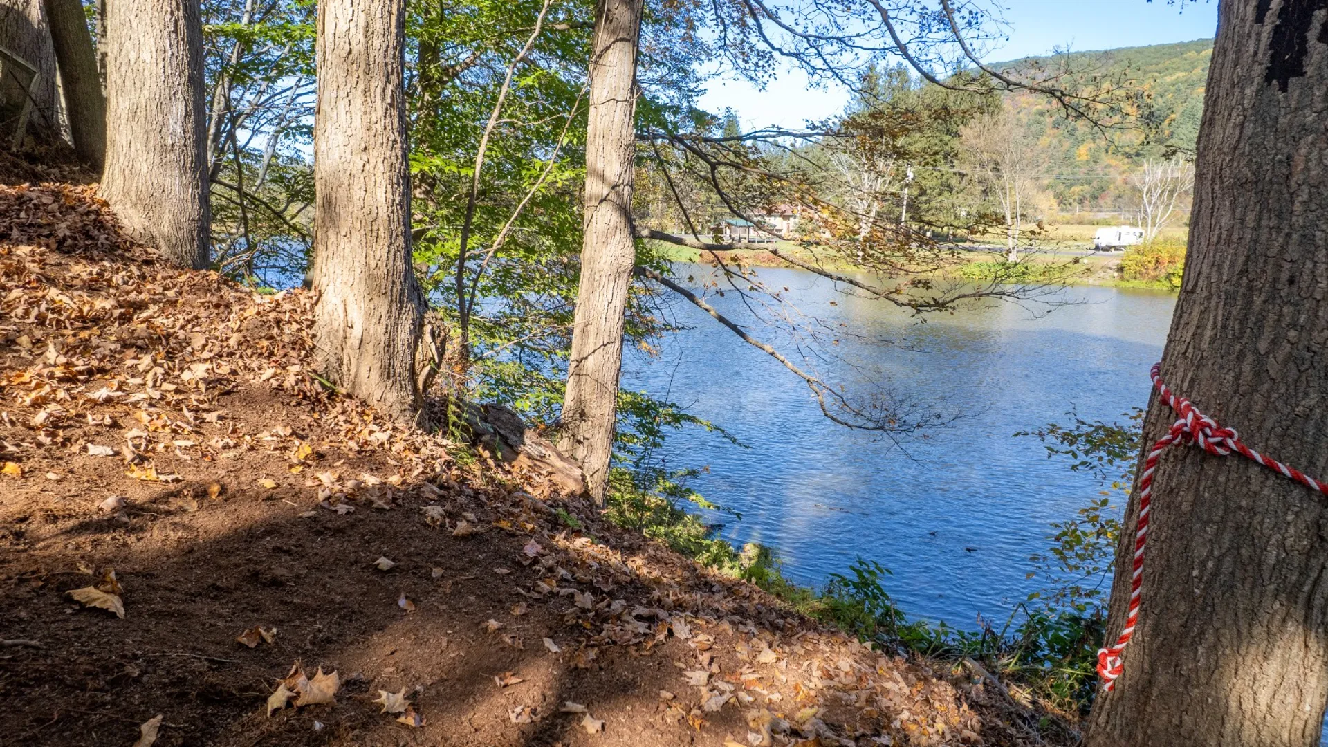 Property at 810 River Rd, Deposit, NY 13754 46