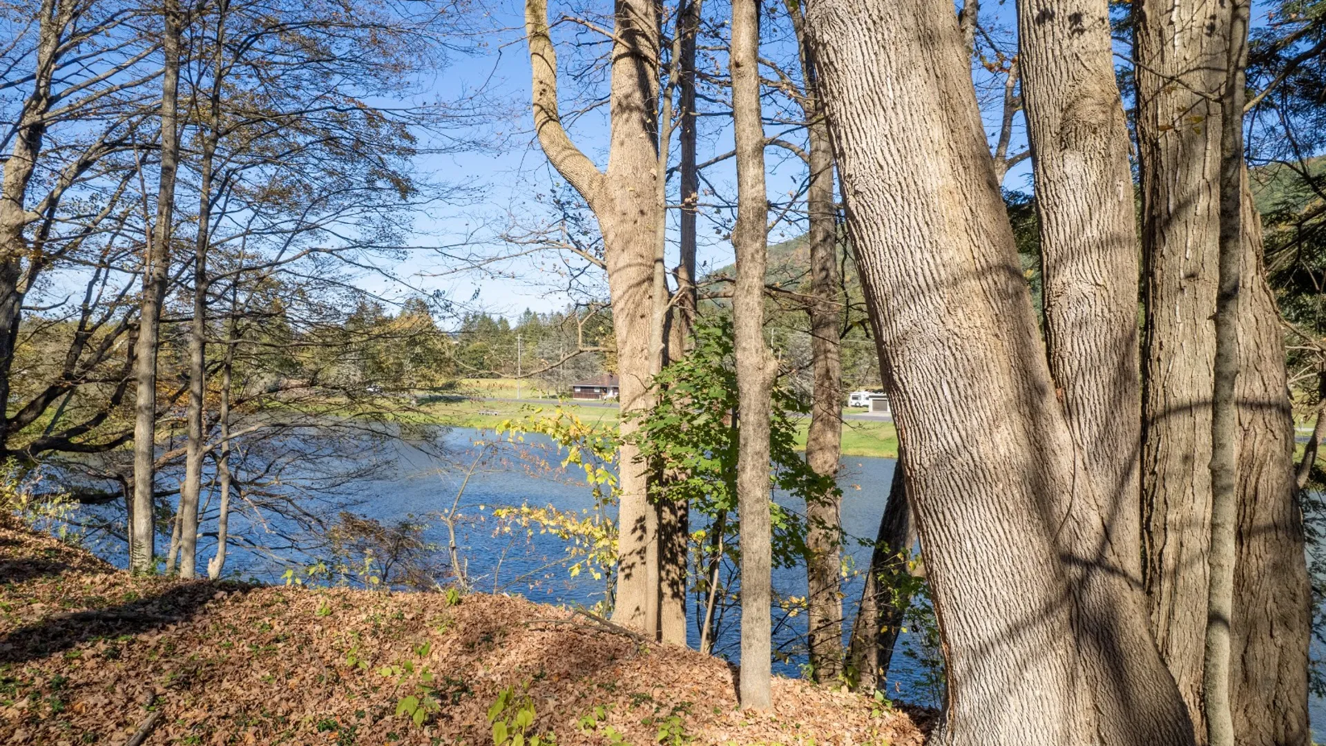 Property at 810 River Rd, Deposit, NY 13754 49