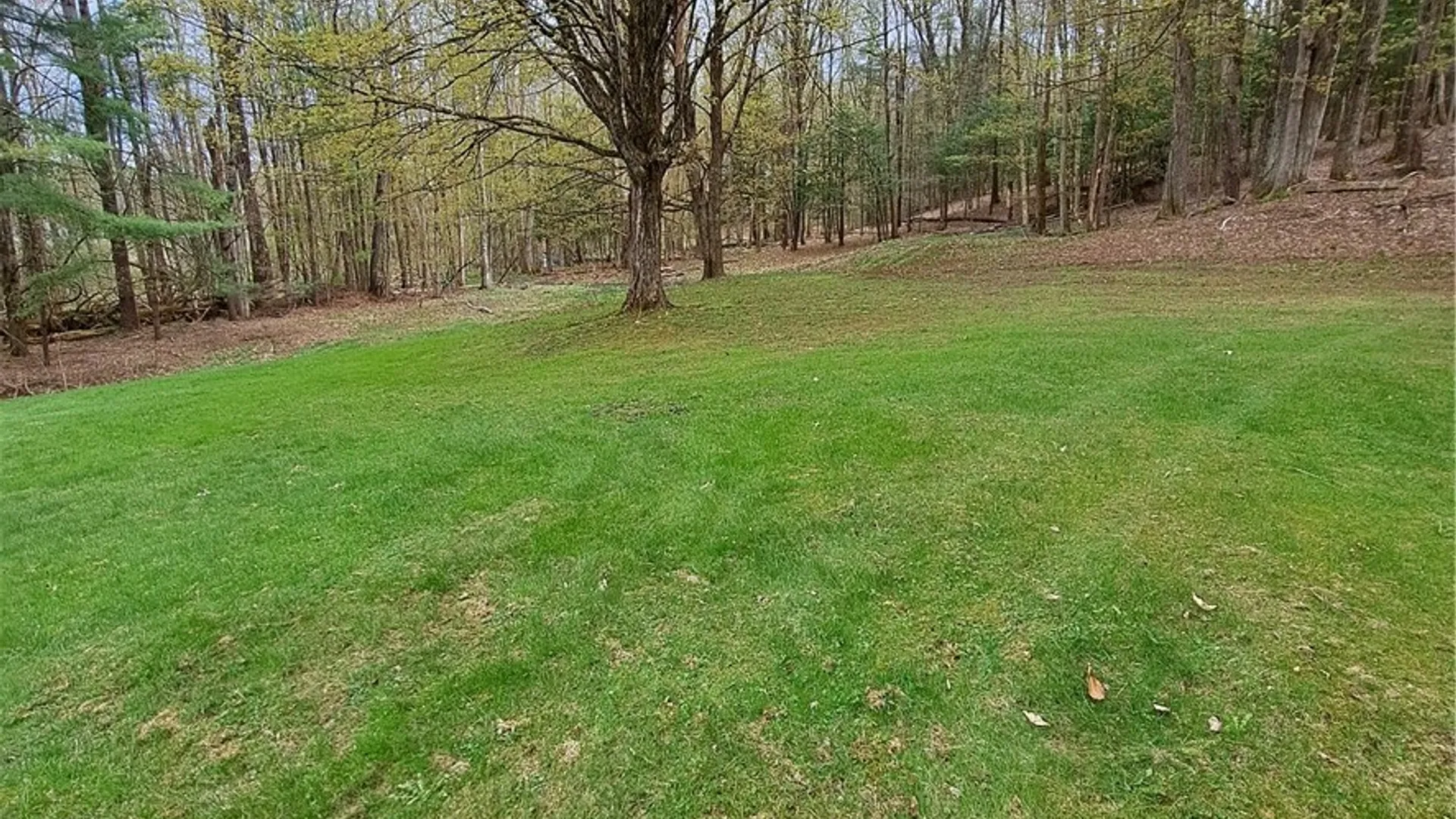 Property at 2178 Woodside Drive, Camden, NY 13316 36