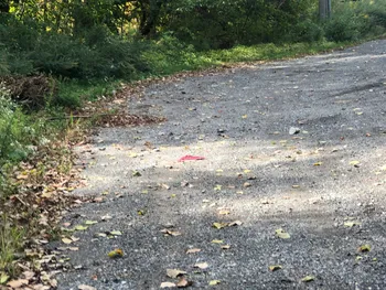 Property at 49 Route 311, Kent, NY 10512
