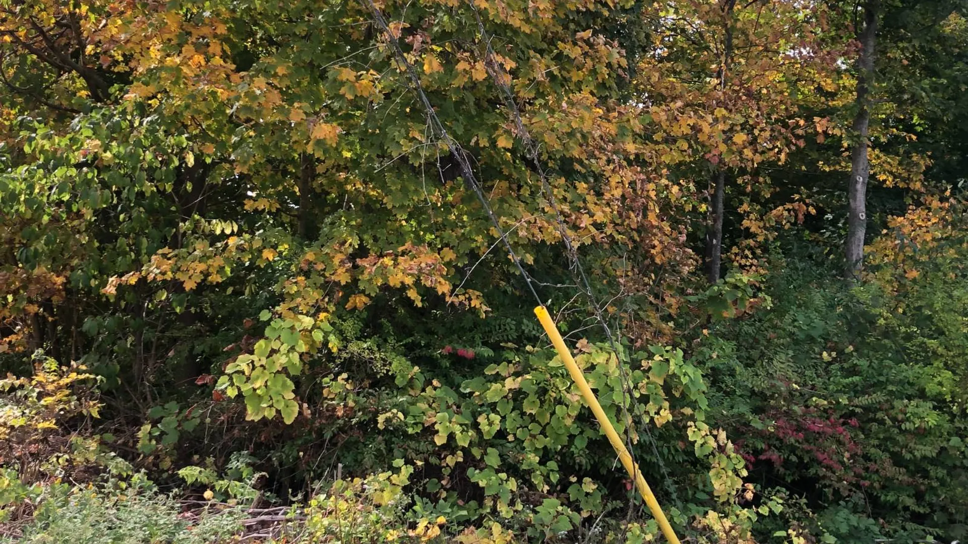 Property at 49 Route 311, Kent, NY 10512 4